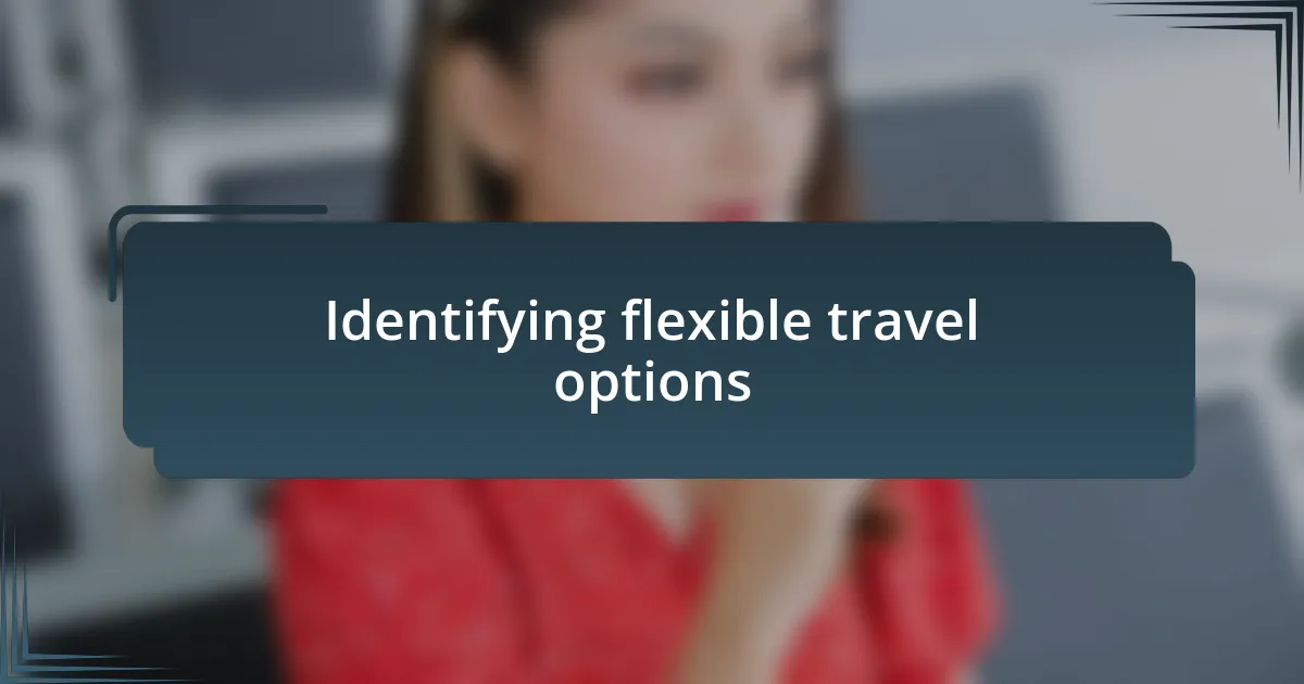 Identifying flexible travel options