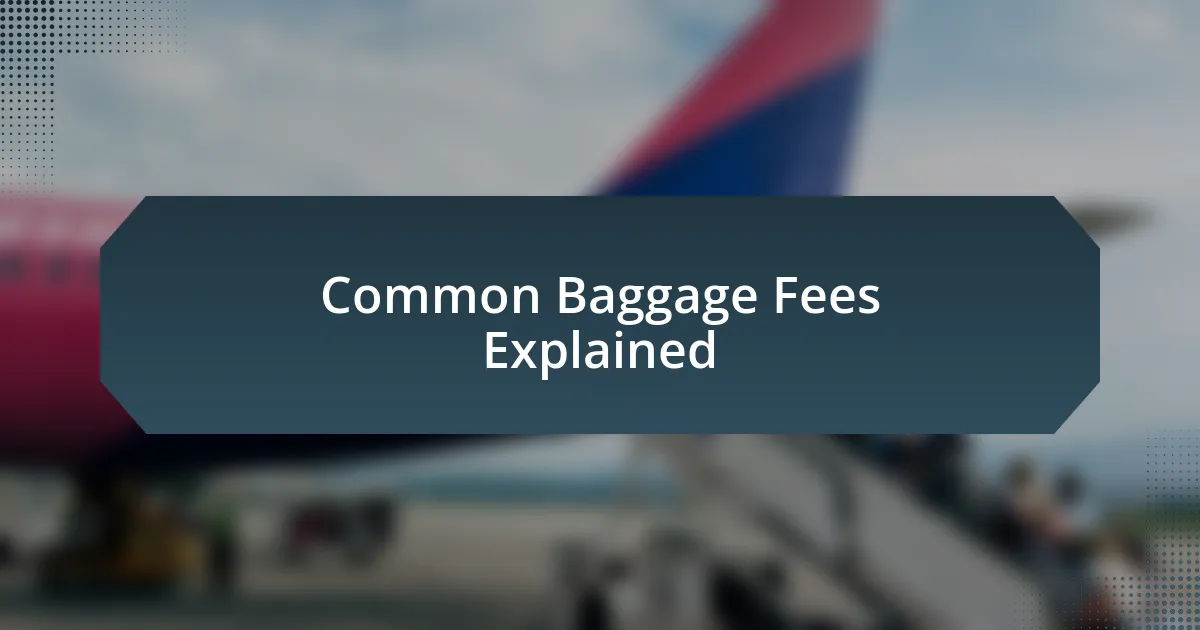 Common Baggage Fees Explained