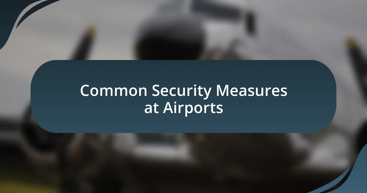 Common Security Measures at Airports