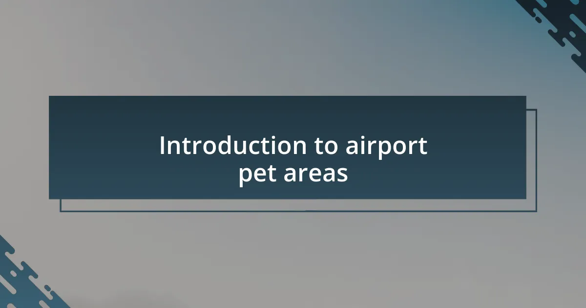 Introduction to airport pet areas