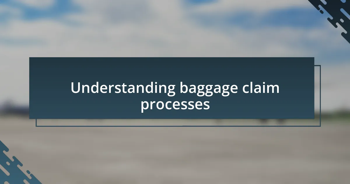 Understanding baggage claim processes