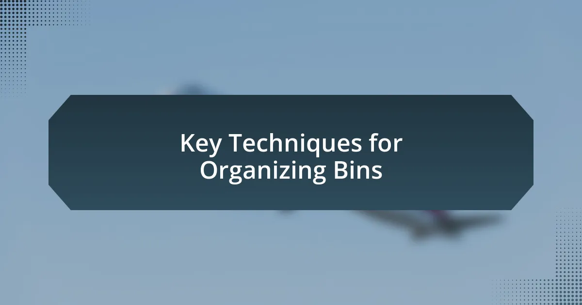 Key Techniques for Organizing Bins