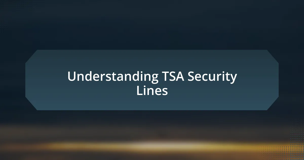 Understanding TSA Security Lines